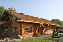 Blockhaus, Naturstammhaus, Holzhaus, bauen