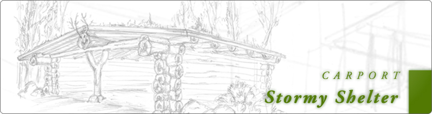 header-stormy-shelter